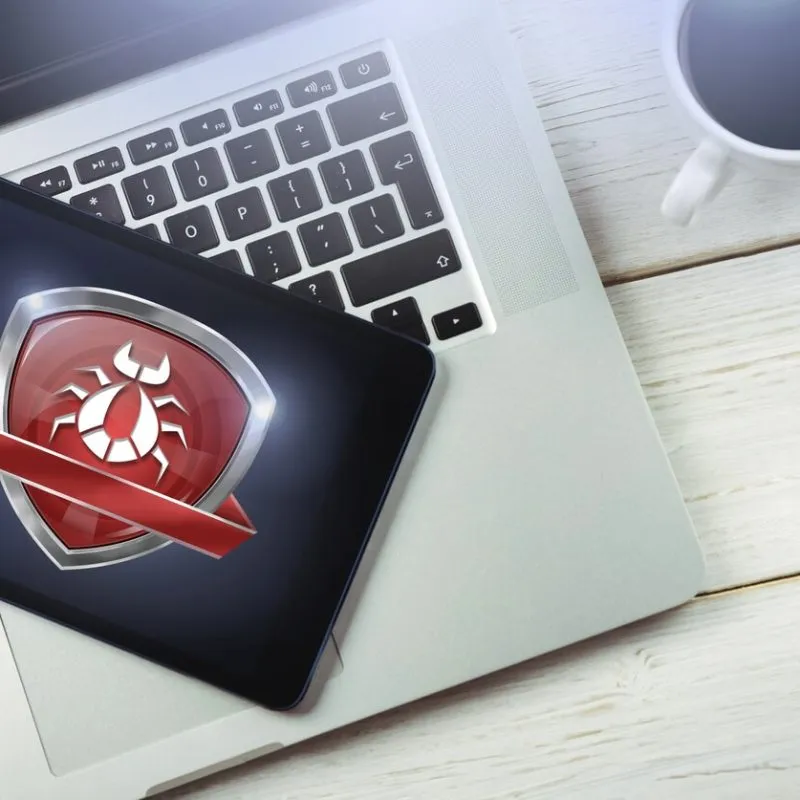 29722584 bug and ransomware security protection shield on computer