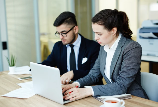 Professional Services